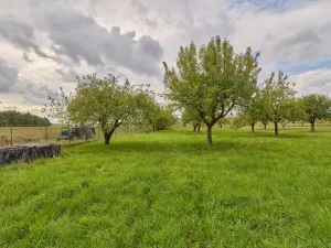 Prodej pozemku pro bydlení, České Meziříčí, Bož. Němcové, 2423 m2
