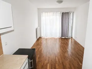 Pronájem bytu 2+kk, Mladá Boleslav, Na Radouči, 42 m2