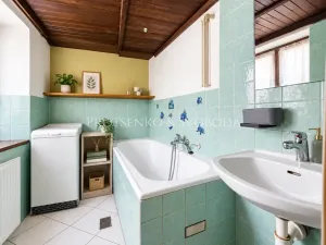 Prodej vícegeneračního domu, Jihlava, Brněnská, 300 m2