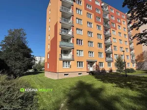 Pronájem bytu 2+1, Sokolov, Švabinského, 63 m2
