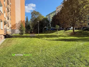 Pronájem bytu 2+1, Sokolov, Švabinského, 63 m2