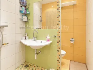 Prodej bytu 1+kk, Písek, 17. listopadu, 19 m2