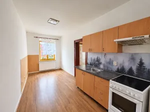 Prodej rodinného domu, Cebiv, 360 m2