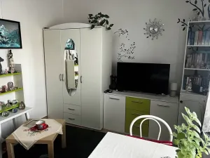 Pronájem bytu 1+kk, Přáslavice, 25 m2