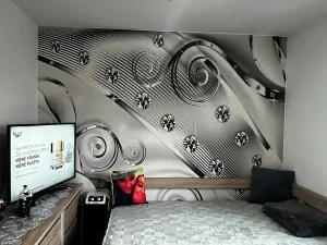 Pronájem bytu 1+kk, Přáslavice, 25 m2