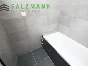 Pronájem bytu 3+1, Plzeň, Tachovská, 62 m2