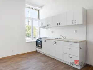 Prodej bytu 1+kk, Ostrava - Přívoz, Křišťanova, 33 m2