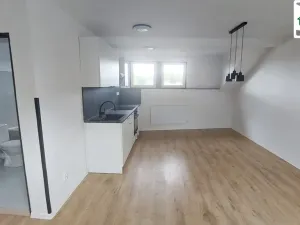 Pronájem bytu 2+kk, Luby, Masarykova, 65 m2
