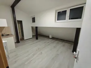 Pronájem bytu 1+kk, Praha - Hlubočepy, Na Zlíchově, 17 m2