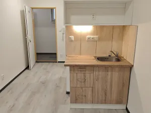 Pronájem bytu 1+kk, Praha - Hlubočepy, Na Zlíchově, 17 m2