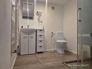 Pronájem bytu 1+kk, Praha - Karlín, Křižíkova, 37 m2