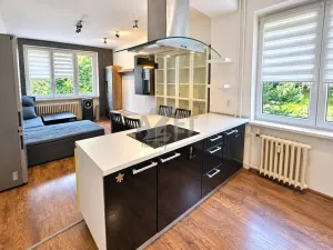 Pronájem bytu 3+kk, Frýdek-Místek - Frýdek, Na Aleji, 65 m2