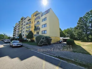 Prodej garážového stání, České Budějovice, 13 m2