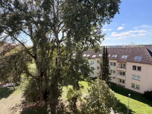 Pronájem bytu 1+kk, Mariánské Lázně, Kubelíkova, 20 m2