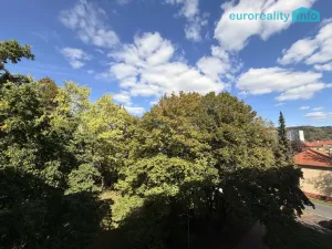 Pronájem bytu 1+kk, Mariánské Lázně, Kubelíkova, 20 m2