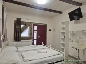Pronájem bytu 1+kk, Praha - Karlín, Křižíkova
