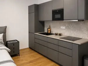 Pronájem bytu 1+kk, Praha - Košíře, Starokošířská, 41 m2