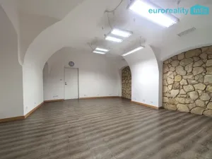 Pronájem obchodního prostoru, Plzeň, Zbrojnická, 50 m2