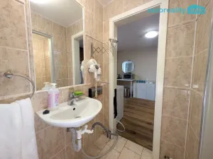 Pronájem obchodního prostoru, Plzeň, Zbrojnická, 15 m2