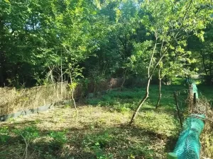 Prodej zahrady, Ostrava, 470 m2