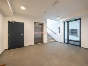 Pronájem bytu 1+kk, Brandýs nad Labem-Stará Boleslav, Táhlá, 45 m2