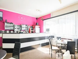 Prodej ubytování, Plavy, 556 m2