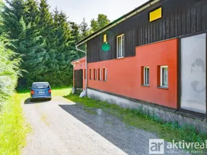 Prodej ubytování, Plavy, 556 m2