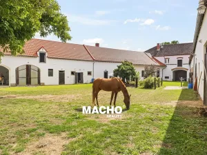 Prodej zemědělské usedlosti, Žďár, 181 m2