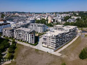 Pronájem bytu 1+kk, Ostrava - Moravská Ostrava, F. X. Riepla, 45 m2