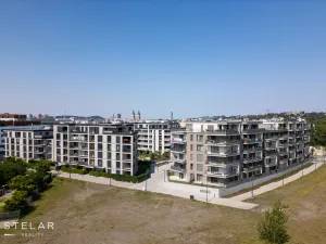 Pronájem bytu 2+kk, Ostrava - Moravská Ostrava, F. X. Riepla, 53 m2