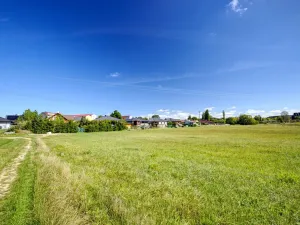 Prodej pozemku pro bydlení, Lom u Tachova, 8146 m2