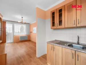 Prodej bytu 2+kk, Slaný, Lidická, 46 m2