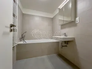 Pronájem bytu 2+kk, Brno - Ponava, Střední, 60 m2