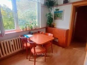 Pronájem bytu 3+1, Veselí nad Moravou, Hutník, 74 m2