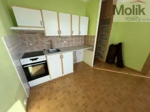 Prodej bytu 1+1, Most, Marš. Rybalka, 36 m2