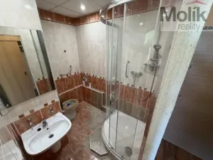 Prodej bytu 1+1, Most, Marš. Rybalka, 36 m2