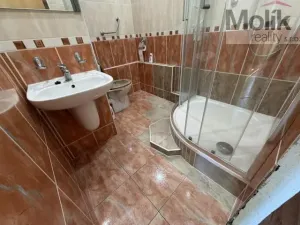 Prodej bytu 1+1, Most, Marš. Rybalka, 36 m2