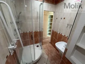 Prodej bytu 1+1, Most, Marš. Rybalka, 36 m2
