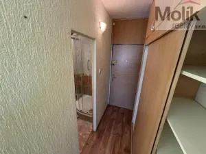 Prodej bytu 1+1, Most, Marš. Rybalka, 36 m2