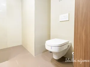 Pronájem bytu 2+kk, Praha - Žižkov, Hartigova, 44 m2