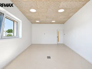 Pronájem kanceláře, Hradec Králové - Pražské Předměstí, Veverkova, 110 m2