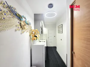 Prodej bytu 2+1, Praha - Nové Město, Soukenická, 30 m2