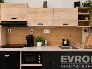Pronájem bytu 1+kk, Rokytnice nad Jizerou - Horní Rokytnice, 18 m2