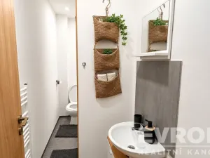 Pronájem bytu 1+kk, Rokytnice nad Jizerou - Horní Rokytnice, 18 m2