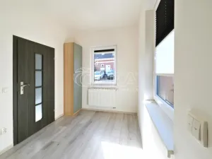 Pronájem rodinného domu, Nelahozeves - Lešany, V Cihelnách, 124 m2