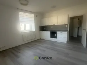 Pronájem bytu 1+kk, Mnichovo Hradiště, Havlíčkova, 31 m2