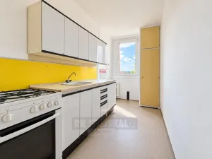 Prodej bytu 2+1, České Budějovice - České Budějovice 7, L. M. Pařízka, 50 m2