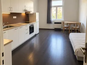 Pronájem bytu 2+kk, Praha - Vinohrady, Lužická, 53 m2