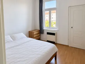 Pronájem bytu 2+kk, Praha - Vinohrady, Lužická, 53 m2