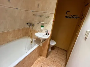 Pronájem bytu 1+kk, Chodov, Čapkova, 21 m2